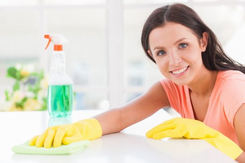 Professional house cleaners at work in Norwood Green