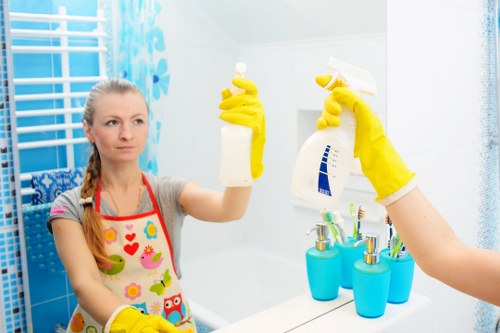 Professional house cleaners at work in Somers Town