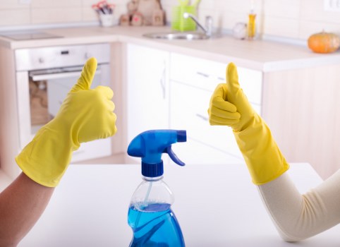 Cleaning services being performed in a Norwood Green home