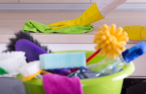 Professional house cleaners cleaning a modern home in South Norwood