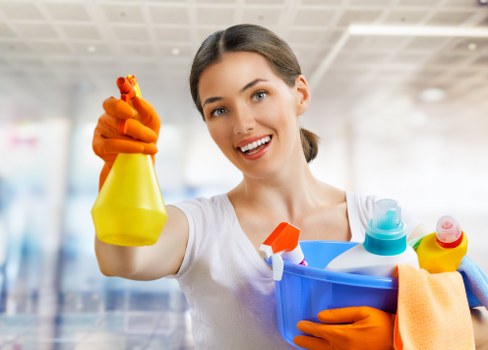 Team of house cleaners at work