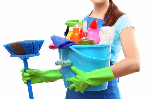Professional house cleaners at work in Hampton Hill