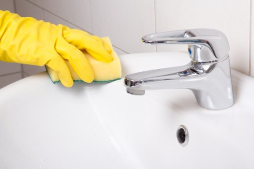 Deep cleaning services for Belvedere residences