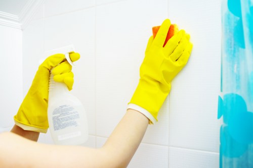 Eco-friendly cleaning products used by House Cleaners Putney