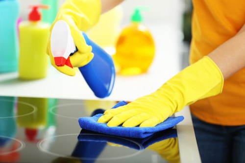 Deep cleaning services for a spotless home