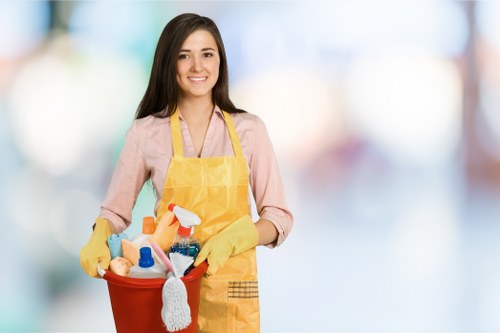 Professional cleaning services for Harringay homes