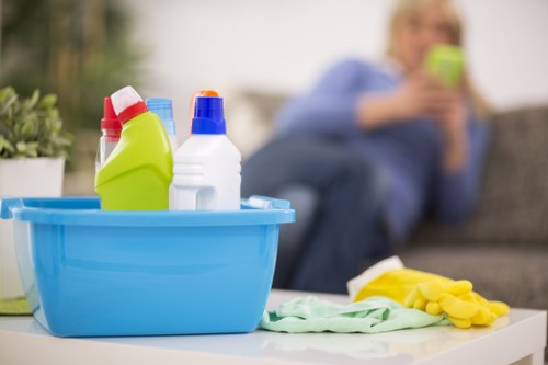 Eco-friendly cleaning products used by Camden Town cleaners