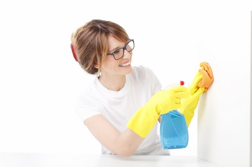 Deep cleaning services provided by South Norwood cleaners