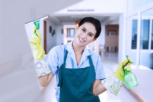 South Norwood house cleaners ensuring spotless interiors