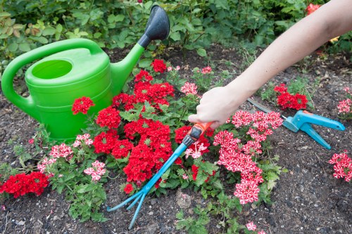 Housekeeper using specialized tools for oven cleaning