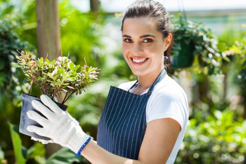 Benefits of renting carpet cleaners for professional cleaners