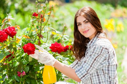 Eco-friendly cleaning products used by domestic cleaners