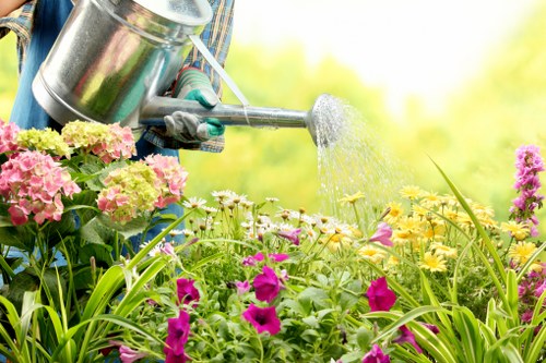 Maintaining spotless kitchen appliances