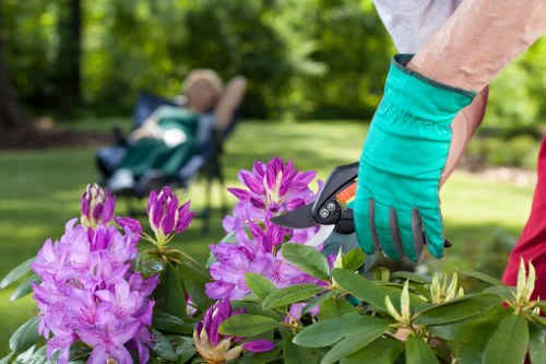 Choosing the right carpet cleaning service
