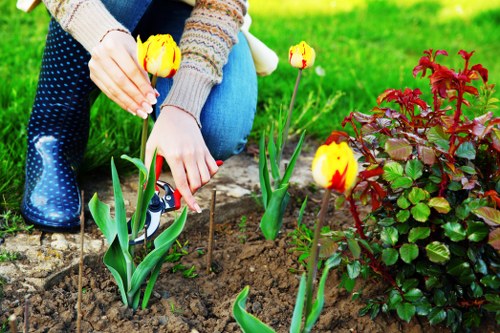 Eco-friendly cleaning products used by professional cleaners