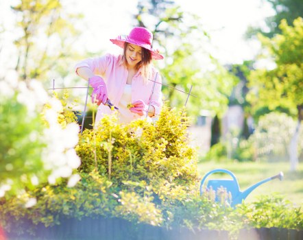 Window cleaning service in a bright home