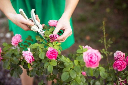 Eco-friendly cleaning practices in a home
