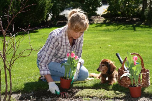 Allergens and dirt being removed from a sofa