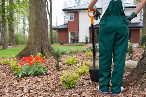 Eco-friendly rental carpet cleaning equipment